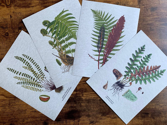 Fern Leaf Vintage Styled Art Prints (Set Of 4)